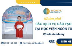 Các dịch vụ đào tạo tại Học viện Ngôn từ Words Academy - Giải pháp khai phóng tư duy và kỹ năng giao tiếp 