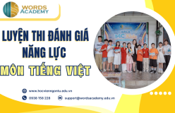 Luyện thi đánh giá năng lực môn Tiếng Việt uy tín cùng chuyên gia